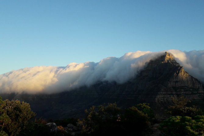 Hiking Lion's Head for sunrise, coffee & hotel Pick-up & Drop off - The descent to the car park