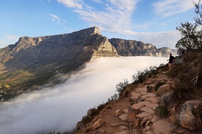 Hiking Lion's Head for sunrise, coffee & hotel Pick-up & Drop off - What the guide adds to the experience