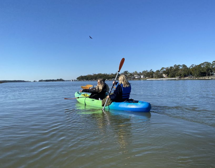 Hilton Head Island: Guided Kayak Tour with Coffee - Keep an eye out for Atlantic bottlenose dolphins