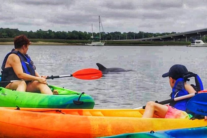Hilton Head Morning Kayaking & Coffee Guided Tour - Paddling Broad Creek and its small marsh channels