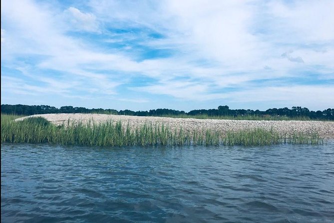 Hilton Head Morning Kayaking & Coffee Guided Tour - Dolphins, birds, and the chance of a manatee