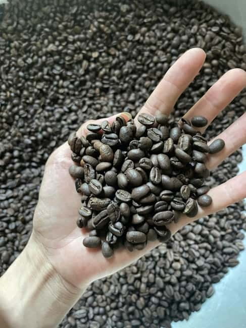 Hoi An:Coffee Making Class (Coffee: egg, Salt, Coconut, ...) - Why Hoi An coffee deserves an hour of your day