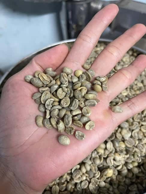 Hoi An:Coffee Making Class (Coffee: egg, Salt, Coconut, ...) - How the one-hour class unfolds