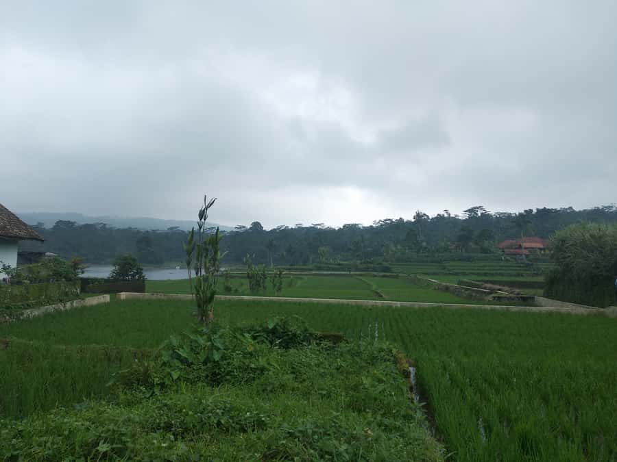 Jakarta :Volcano, HotSpring, Tea Factory, RiceField, &Coffee - Leaving Jakarta for West Java’s highlands