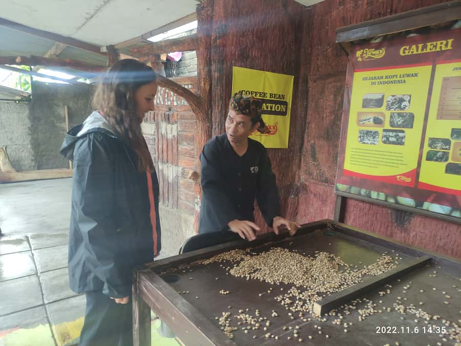 Jakarta :Volcano, HotSpring, Tea Factory, RiceField, &Coffee - FAQ
