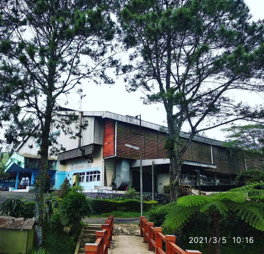 Jakarta :Volcano, HotSpring, Tea Factory, RiceField, &Coffee - Tangkuban Perahu and its sulfur crater