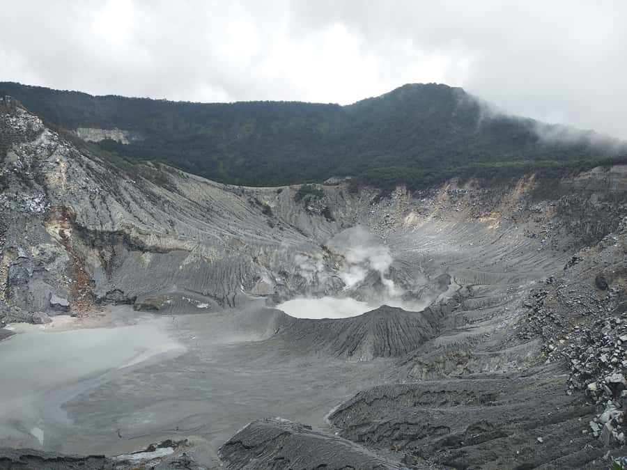 Jakarta :Volcano, HotSpring, Tea Factory, RiceField, &Coffee - Walking through Kebun Teh Ciater