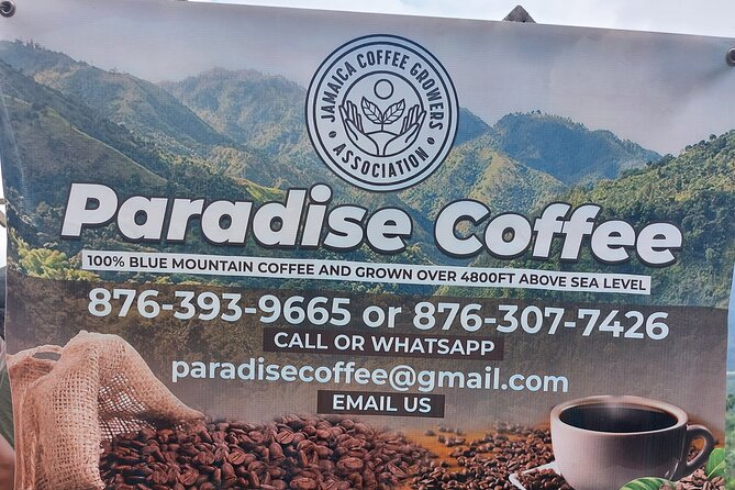 Jamaica Blue Mountain Coffee Tour and sightseeing experience - A private ride with useful comforts