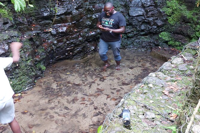 Jamaica Blue Mountain Coffee Tour and sightseeing experience - Is $190 a fair price?