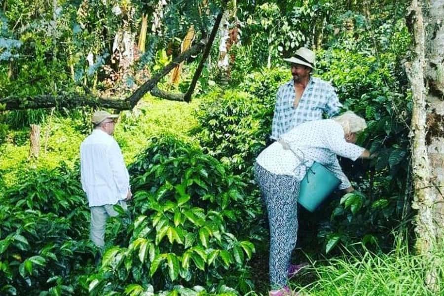 Jardín: Horseback Ride with Coffee Villa and Waterfall - Sweeping views from the cable car