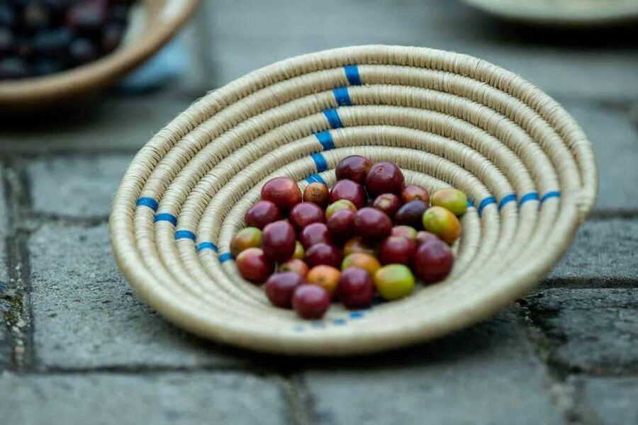 Kigali: Traditional Coffee Experience ( Bean to Brew) - More than coffee: music, crafts, and local conversation