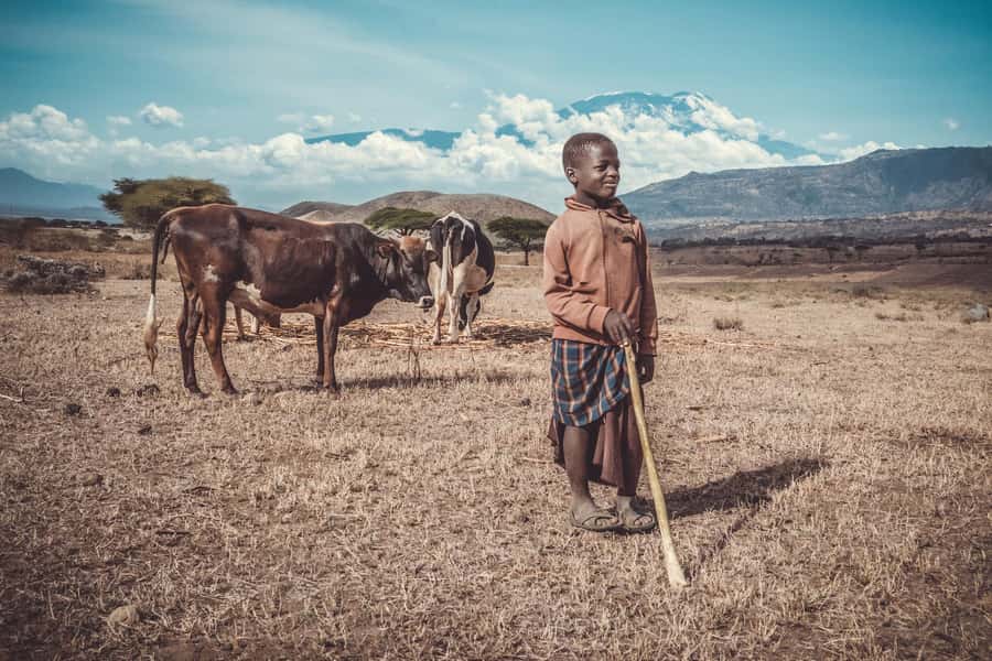 Kilimanjaro: Maasai Village Visit, Waterfalls, & Coffee Tour - Two villages, two very different windows into Tanzania