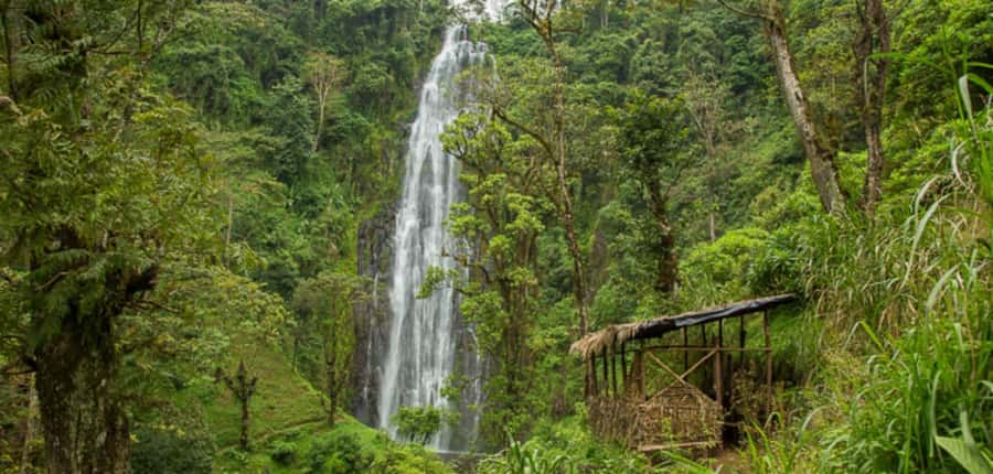 Kilimanjaro: Maasai Village Visit, Waterfalls, & Coffee Tour - Should you book it?