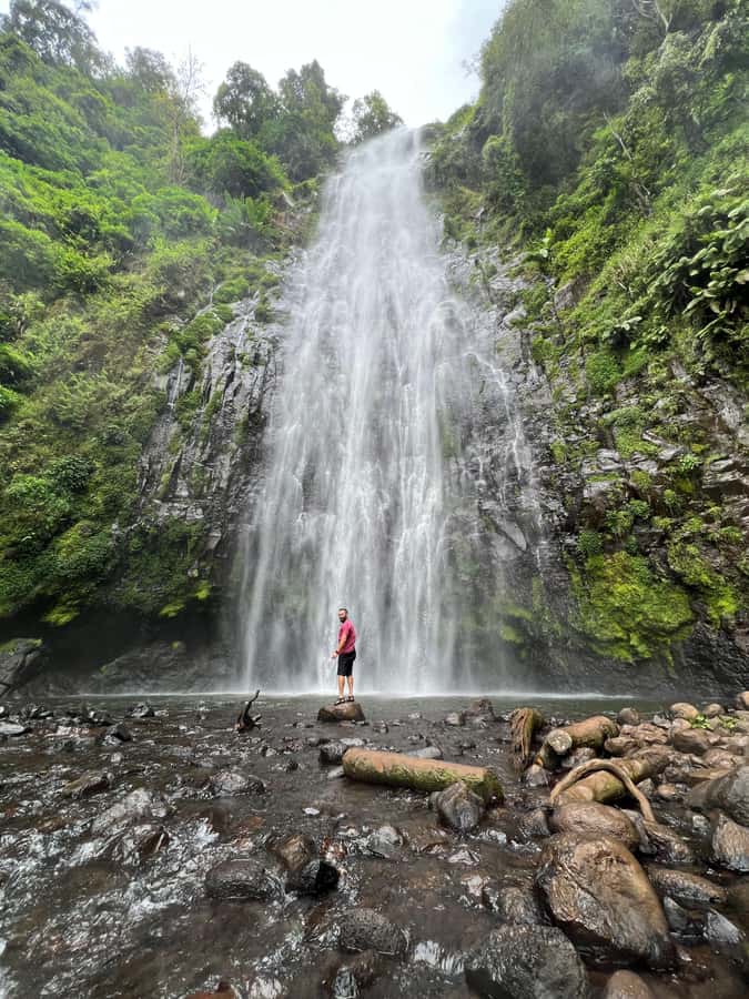 Kilimanjaro: Maasai Village Visit, Waterfalls, & Coffee Tour - Chagga lunch, banana beer, and the coffee ritual