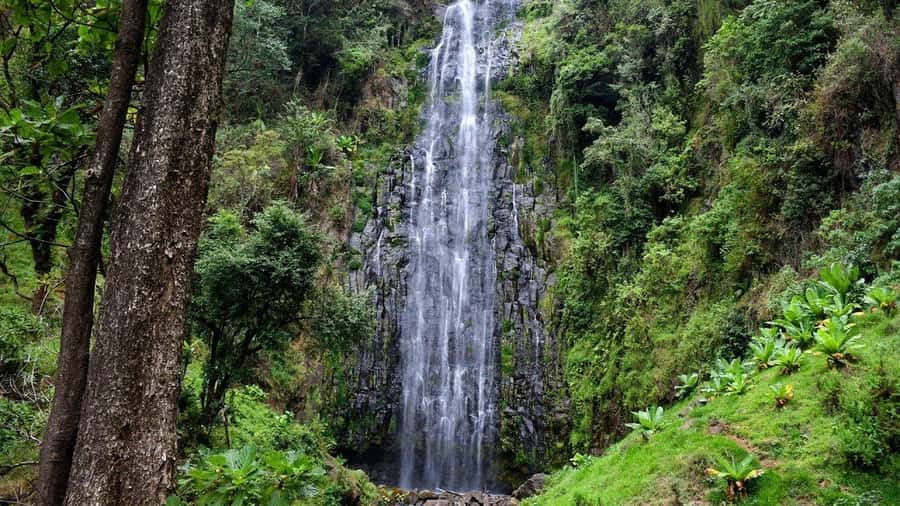 Kilimanjaro: Maasai Village Visit, Waterfalls, & Coffee Tour - What to bring and what to expect