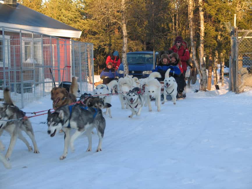 Kiruna: Family-friendly Short Husky Tour with Coffee - How the activity fits into a Kiruna visit