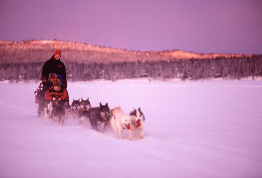Kiruna: Family-friendly Short Husky Tour with Coffee - Meeting the huskies before and after the ride
