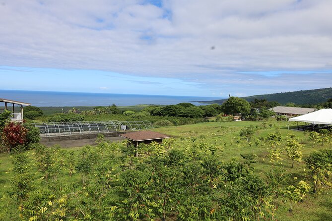 Kona Coffee Farm Tour from Tree to Tasting Room - Why this small Captain Cook farm is worth your time