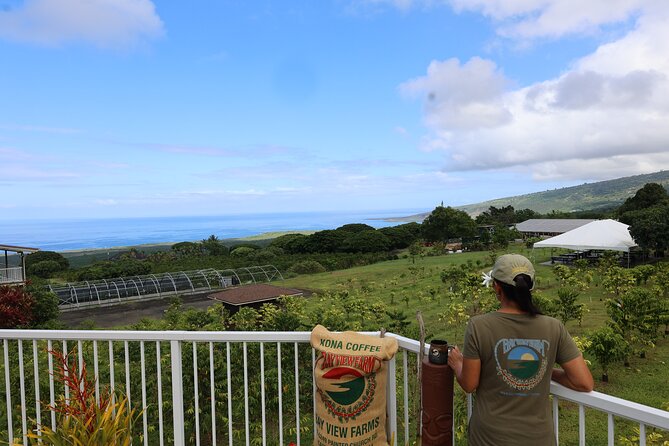 Kona Coffee Farm Tour from Tree to Tasting Room - Walking past fruit trees and tea plants