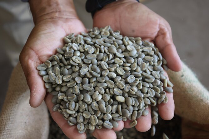 Kona Coffee Farm Tour from Tree to Tasting Room - Seeing the mill, drying area, and grading equipment