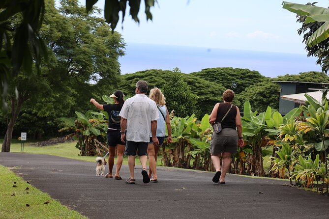 Kona Coffee Farm Tour from Tree to Tasting Room - Shopping for 100% Kona coffee and local products