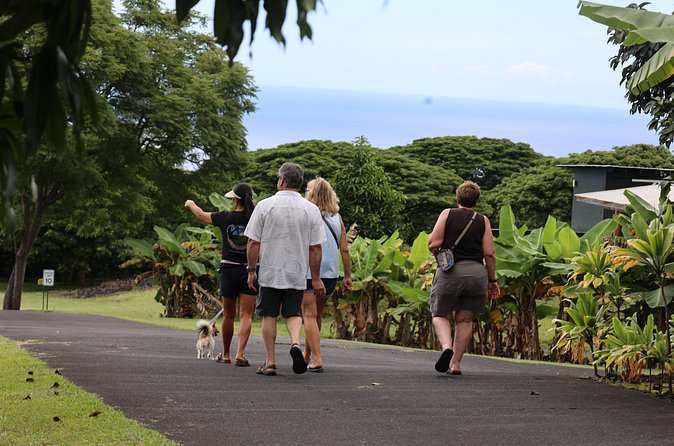 Kona Coffee Farm Tour from Tree to Tasting Room - The $5 price and what you really get