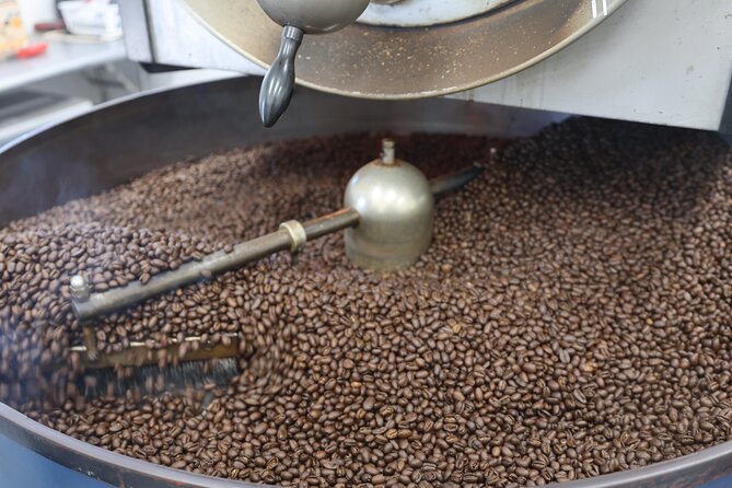 Kona Coffee Farm Tour from Tree to Tasting Room - Who will enjoy Bay View Farm most