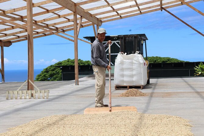 Kona Coffee Farm Tour from Tree to Tasting Room - Starting under the coffee trees