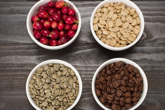 Kona Coffee Tasting: A Farm to Cup Experience - Three coffees, three ways to compare a cup