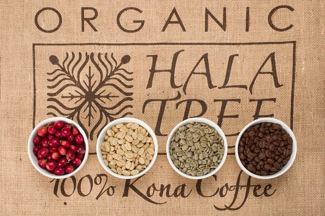 Kona Coffee Tasting: A Farm to Cup Experience - Should you book the Kona coffee tasting?