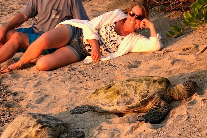 Kona Shore Excursion: Sea Turtles, Historic Kona & Coffee - Kaloko-Honokohau’s fishponds and Hawaiian remains