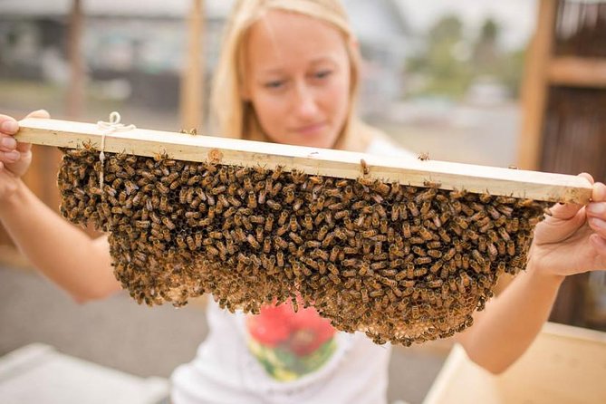 Kona Tour: Bee Farm, Kona Coffee, and National Historical Parks - Kaloko-Honokohau: fishponds, petroglyphs, and the shore