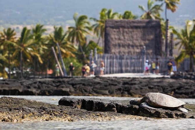 Kona Tour: Bee Farm, Kona Coffee, and National Historical Parks - What the seven-hour schedule feels like
