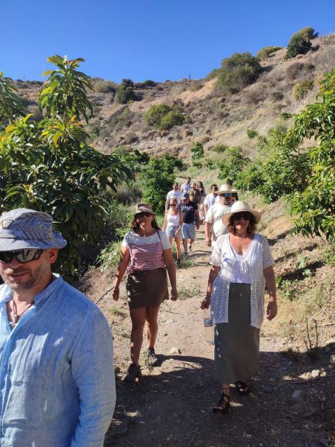 La Herradura Coffee Farm: tour in Europe's only plantation - Walking from the meeting point to the coffee plants