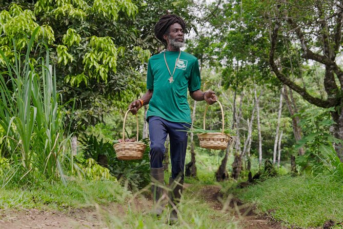 Liamuiga Natural Farm Tour - St.Kitts' Coffee Farm - Learning from Time among coffee and crops