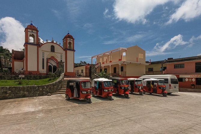 Local Coffee Tasting and Cultural Experience - Pluma Hidalgo: coffee with a sense of place
