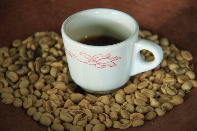 Local Coffee Tasting and Cultural Experience - The mountain road to Pluma Hidalgo