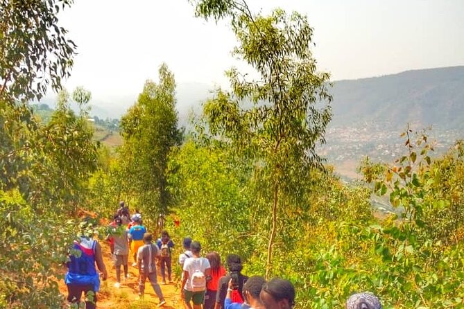 Local Community Tour(Cultural, Coffee,Village walk,Local food) - Mount Jali for a more active option