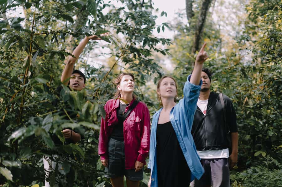 Lombok: Coffee Plantation Tour With Tasting - Why this coffee tour feels different