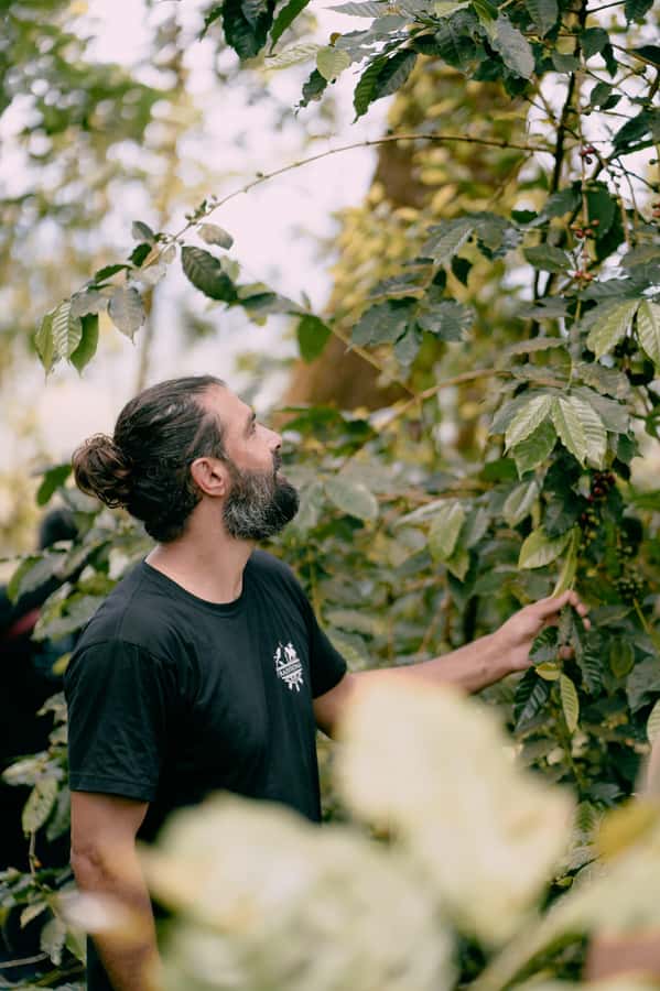 Lombok: Coffee Plantation Tour With Tasting - Finishing with espresso and a farm drink