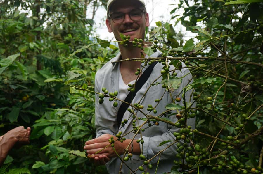 Lombok: Coffee Plantation Tour With Tasting - The view and possible extra stops
