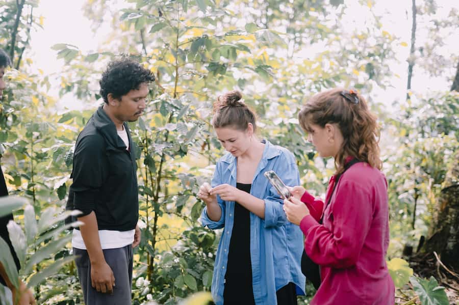 Lombok: Coffee Plantation Tour With Tasting - Starting at 8 a.m. on the farmers’ schedule