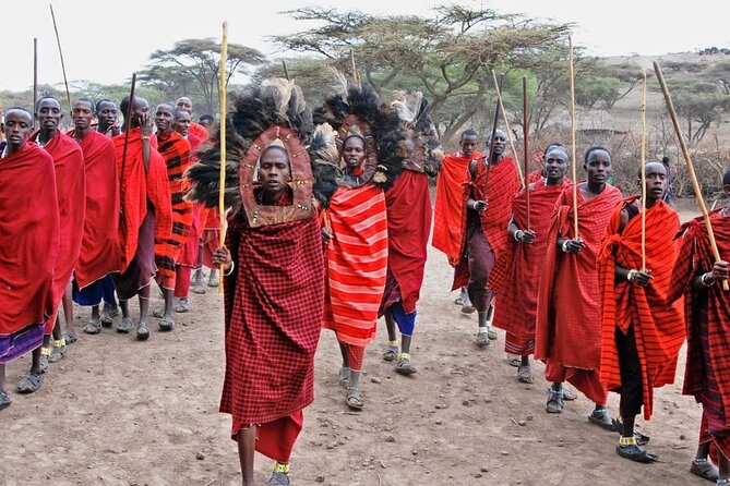 Maasai village visit, Materuni waterfalls & coffee experience - What the tour does not include