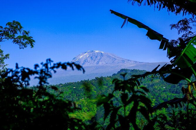 Maasai village visit, Materuni waterfalls & coffee experience - Is $154 good value?