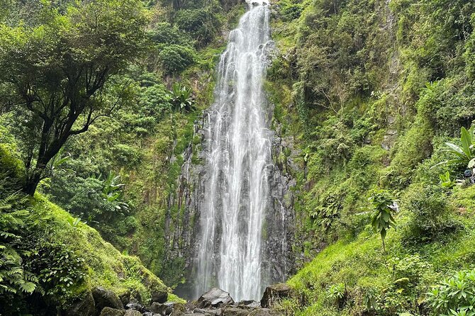 Materuni Waterfall and Coffee Plantation Half Day Tour - Key points to know before booking