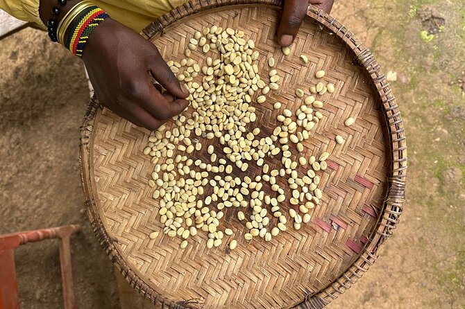 Materuni Waterfall and Coffee Plantation Half Day Tour - Making Arabica coffee from bean to cup