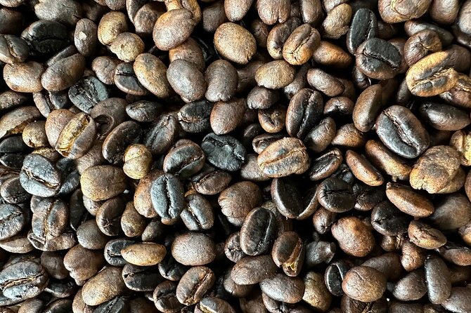 Materuni Waterfall and Coffee Plantation Half Day Tour - Who will enjoy this Materuni outing most?