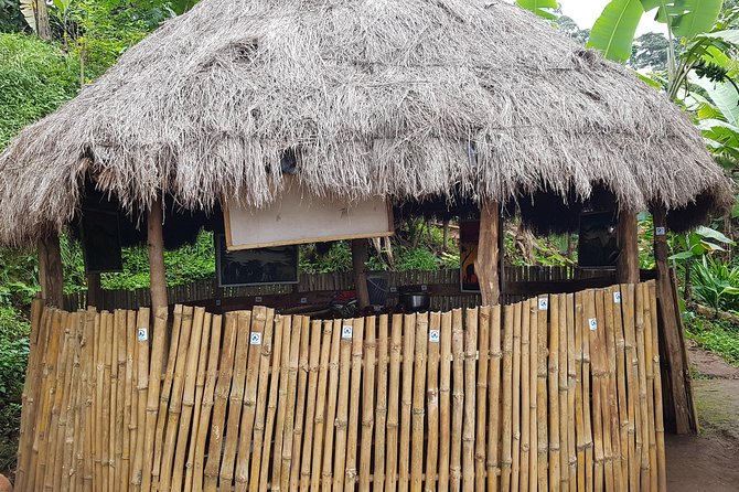 Materuni Waterfall and Coffee tour, Tanzania - Coffee, Chagga songs, and a hands-on local welcome