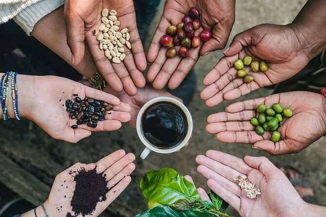 Materuni Waterfall Coffee Tour and Chemka Hot Springs Experience - Key details before you book