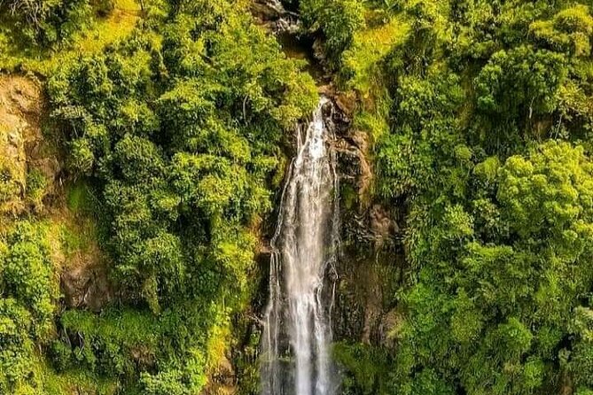 Materuni Waterfall Coffee Tour and Chemka Hot Springs Experience - Why this day works so well